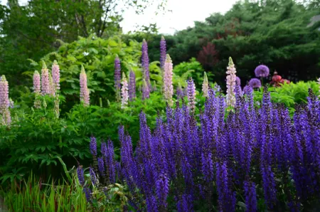 Queens Botanical Garden