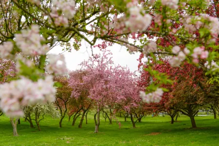 Queens Botanical Garden