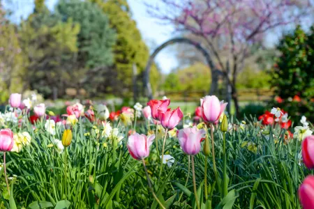 Queens Botanical Garden