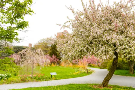 Queens Botanical Garden