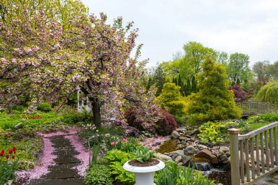 Queens Botanical Garden